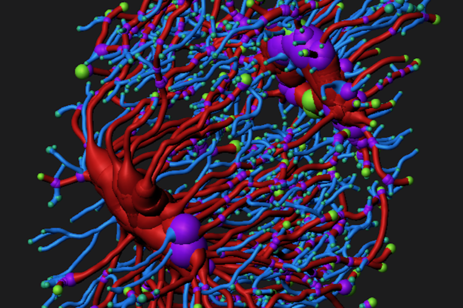 Colorful 3D computer generated image.