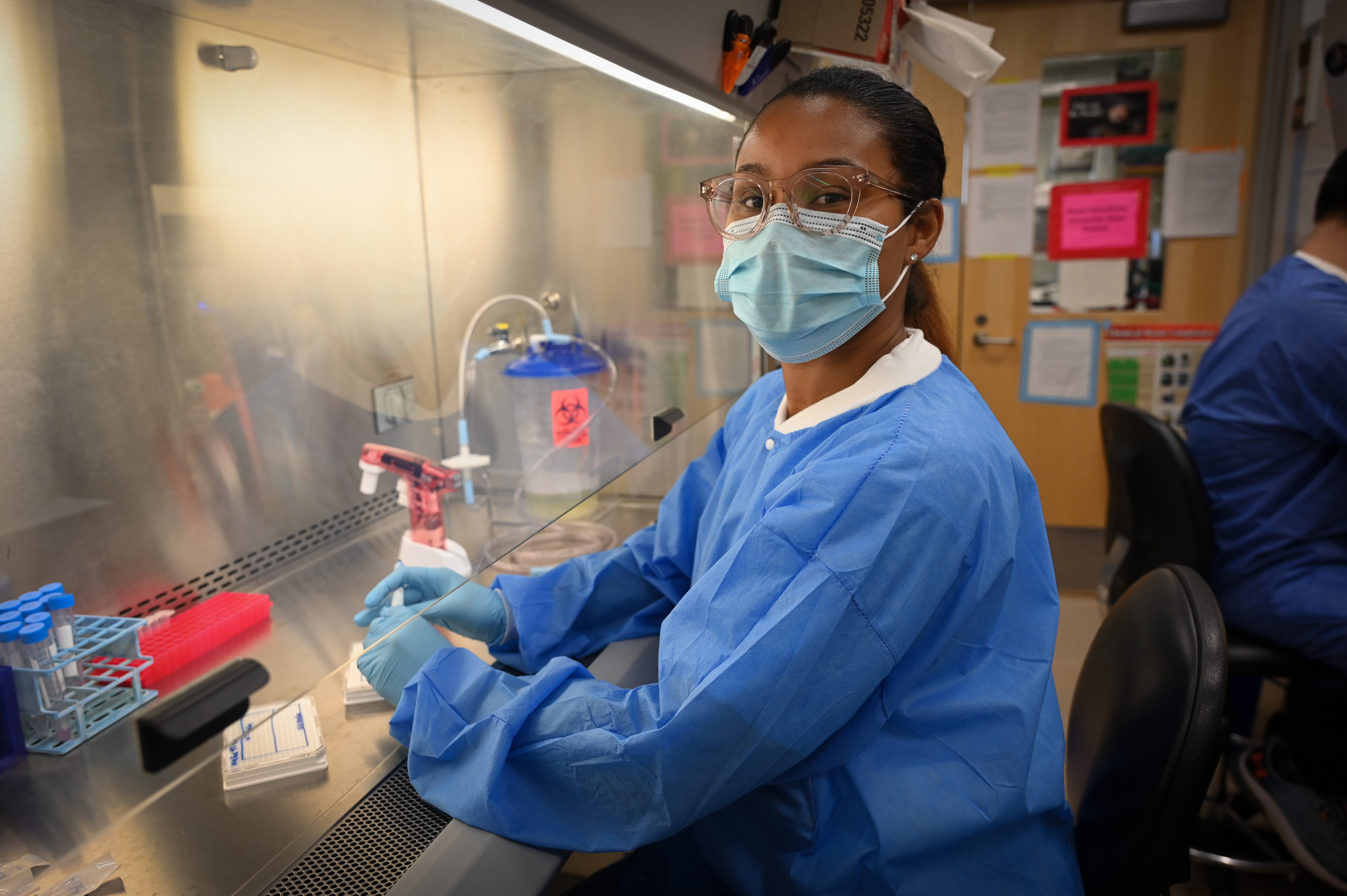Fellow working in a fume hood.