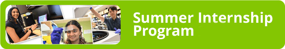 SIP summer program