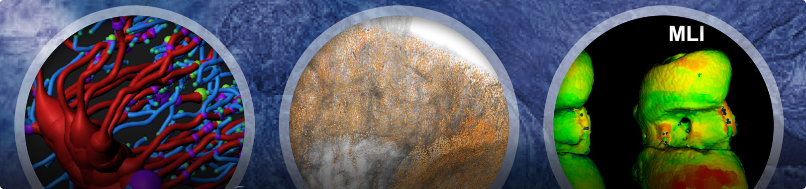 Montage of scientific images