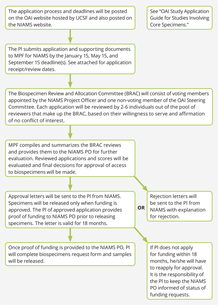Flow chart showing stages of the application review process.