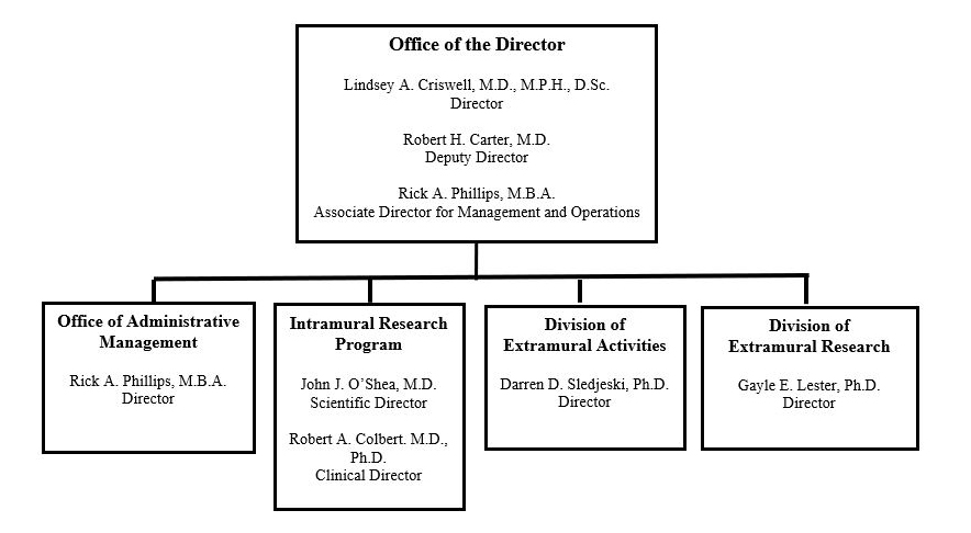 Organizational chart