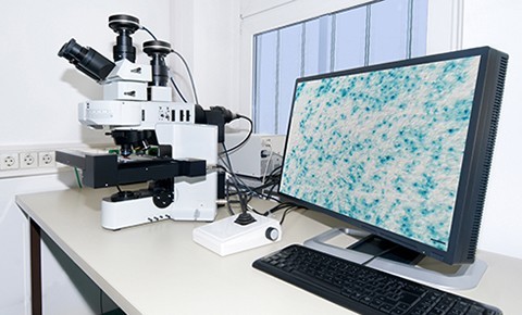 A Microscope and a desktop computer