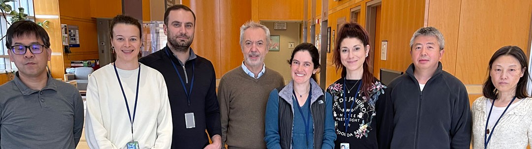 Group of 8 researchers standing shoulder to shoulder