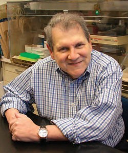 Stephen I. Katz, M.D., Ph.D.