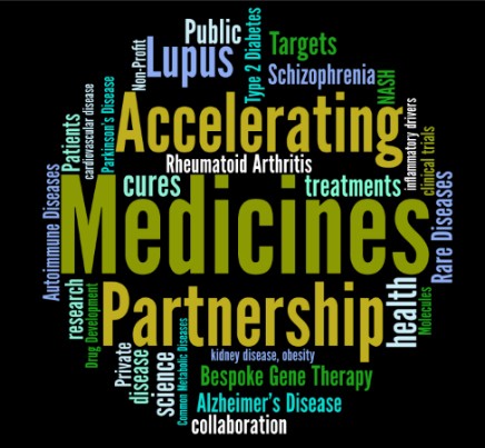 graphic AMP program word cloud