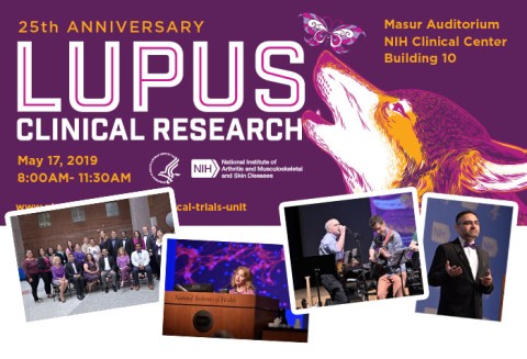 Montage of photos from the conference and the illustrated poster showing a wolf.