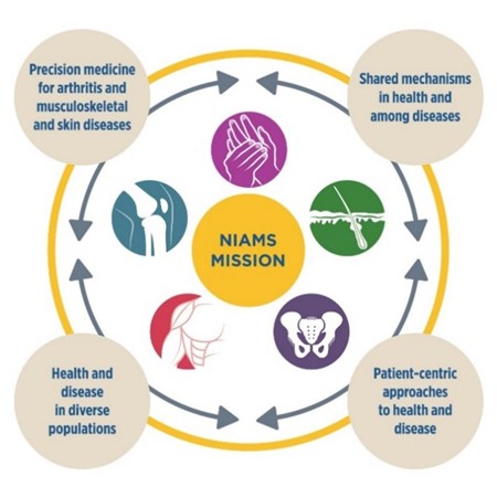 Infographic representing the NIAMS mission areas and cross-cutting themes elaborated in the NIAMS Strategic Plan for FYs 2020-2024.