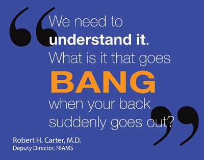 Quote from Robert Carter, MD, Deputy Director at NIAMS: We need to understand it. What is it that goes BANG when your back suddenly goes out?