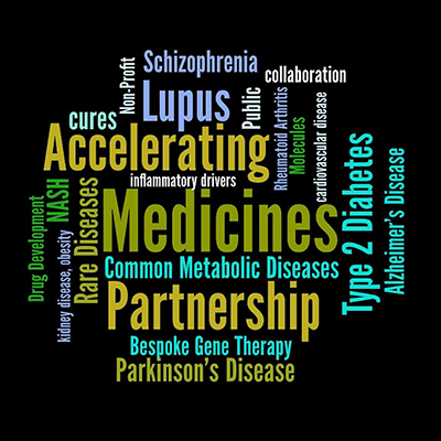Accelerating Medicines Partnership (AMP) wordcloud