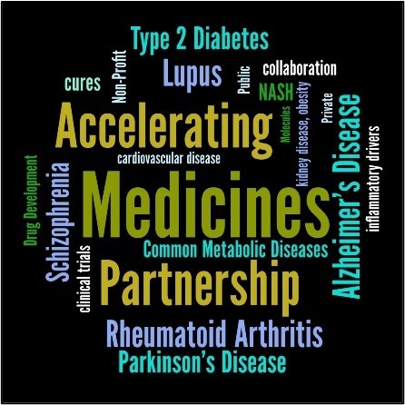 Infographic with Systemic Rheumatic and Autoimmune Diseases terms