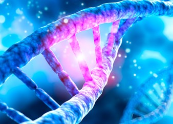 lllustration of the DNA helix