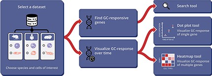 Typical workflow for using the GCgx tool.