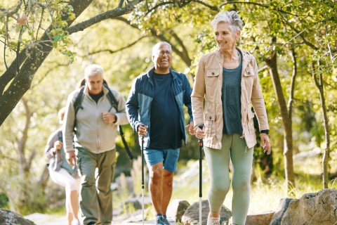 Photo of a group of four people hiking in the woods