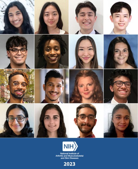 Group collage of NIAMS 2023 interns
