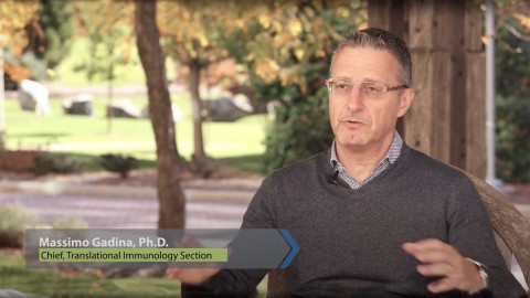 Pictured: Massimo Gadina, Ph.D., Chief, Translational Immunology Section