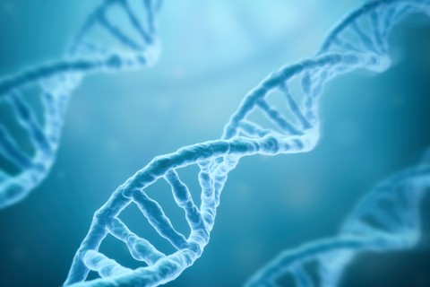 Illustration of dna strands