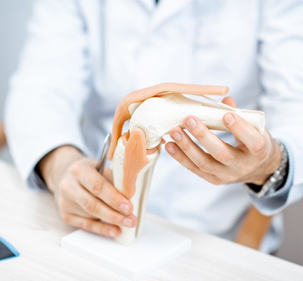 Image of a knee joint