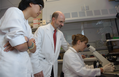 Dr. Robert Colbert, Dr. Amy Petrik, and Dr. Grace Kwon, examine skin fibroblasts under a microscope