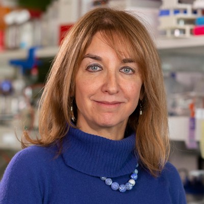 Headshot image of Dr. Mariana J. Kaplan