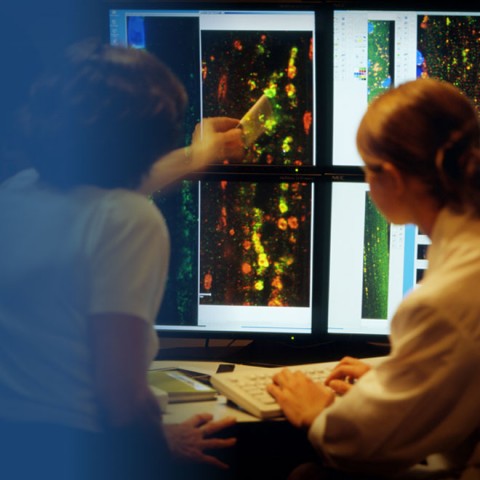 Fellow and mentor reviewing data on a computer screen.