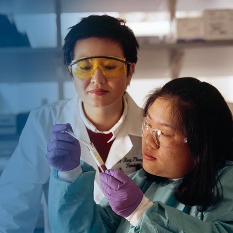 Research fellows in a lab using pipette.