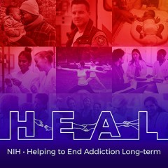 HEAL photo montage, at bottom of photo it reads HEAL NIH Helping to End Addiction Long-term