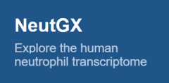 NeutGX logo - Explore the human neutrophil transcriptome