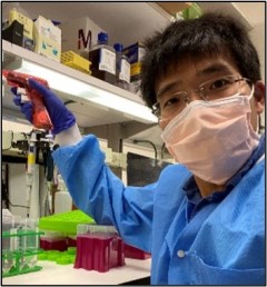 A NIAMS research fellow in the Laboratory of Lymphocyte Nuclear Biology whose work on nanobodies suggests a new way to combat COVID-19 and its variants. Credit: Jianliang Xu