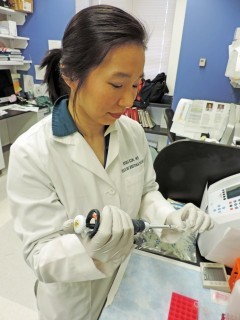 Researcher holding a pipette and conducting an experiment in a lab at NIAMS
