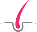 Icon depicting a hair