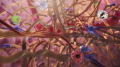 computer generated image of myofibroblasts