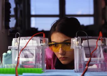 This photograph shows Anastassia Tikhonova B.S. using electropheresis apparatus to separate proteins by molecular weight.