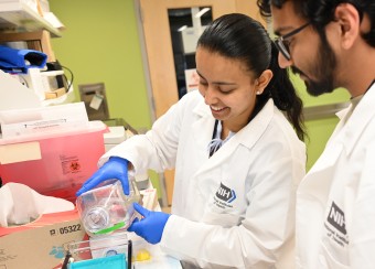 Two fellows conducting research at the bench.