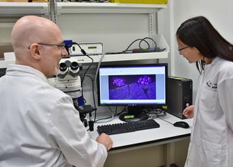 2 Scientists discuss over on the computer lab