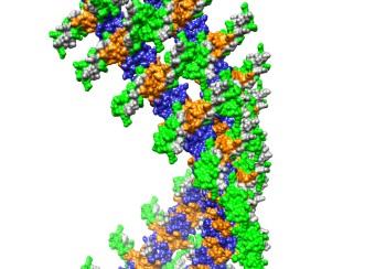 computer visualization of a molecular structure