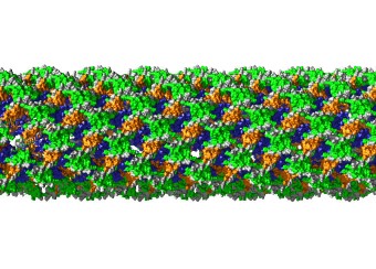 Computer visualization of the side and end of a molecular tube structure