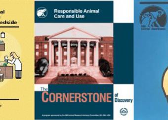 Laboratory Animal Care and Use