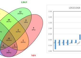 Novel motif enrichment analysis: each subgroup has uniquely enriched TF motifs.