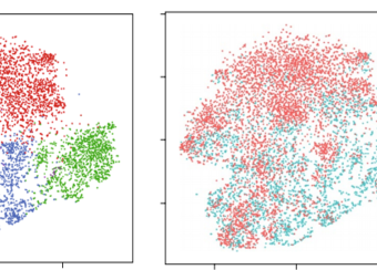 Single-cell RNA-seq reveals TOX as a key regulator of CD8+ T cell persistence in chronic infection