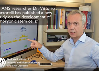 Dr. Sartorelli's work