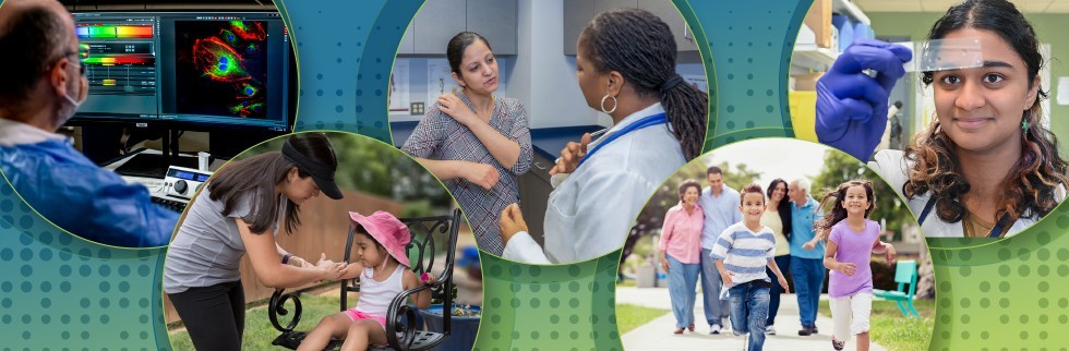 Strategic Plan Banner Image