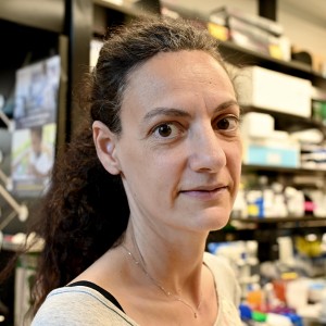 Stephania Dell'Orso portrait image.