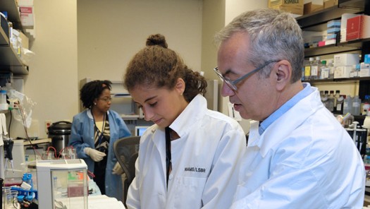 Sartorelli Lab
