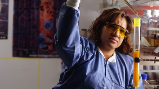 Removing Pure IGE Protein from the Protein Purification Column 2