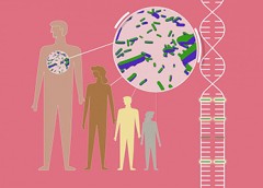 Illustration showing genome variants
