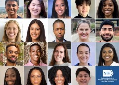 Photograph featuring screenshots of all 2022 NIAMS InVTRO Interns