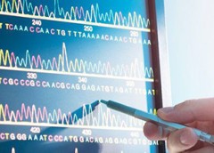 Photo of a computer screen displaying genetic code