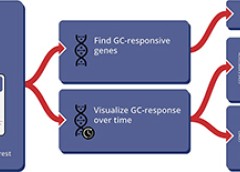Typical workflow for using the GCgx tool.