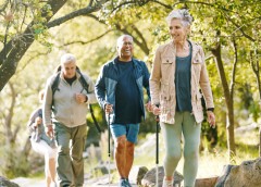 Photo of a group of four people hiking in the woods